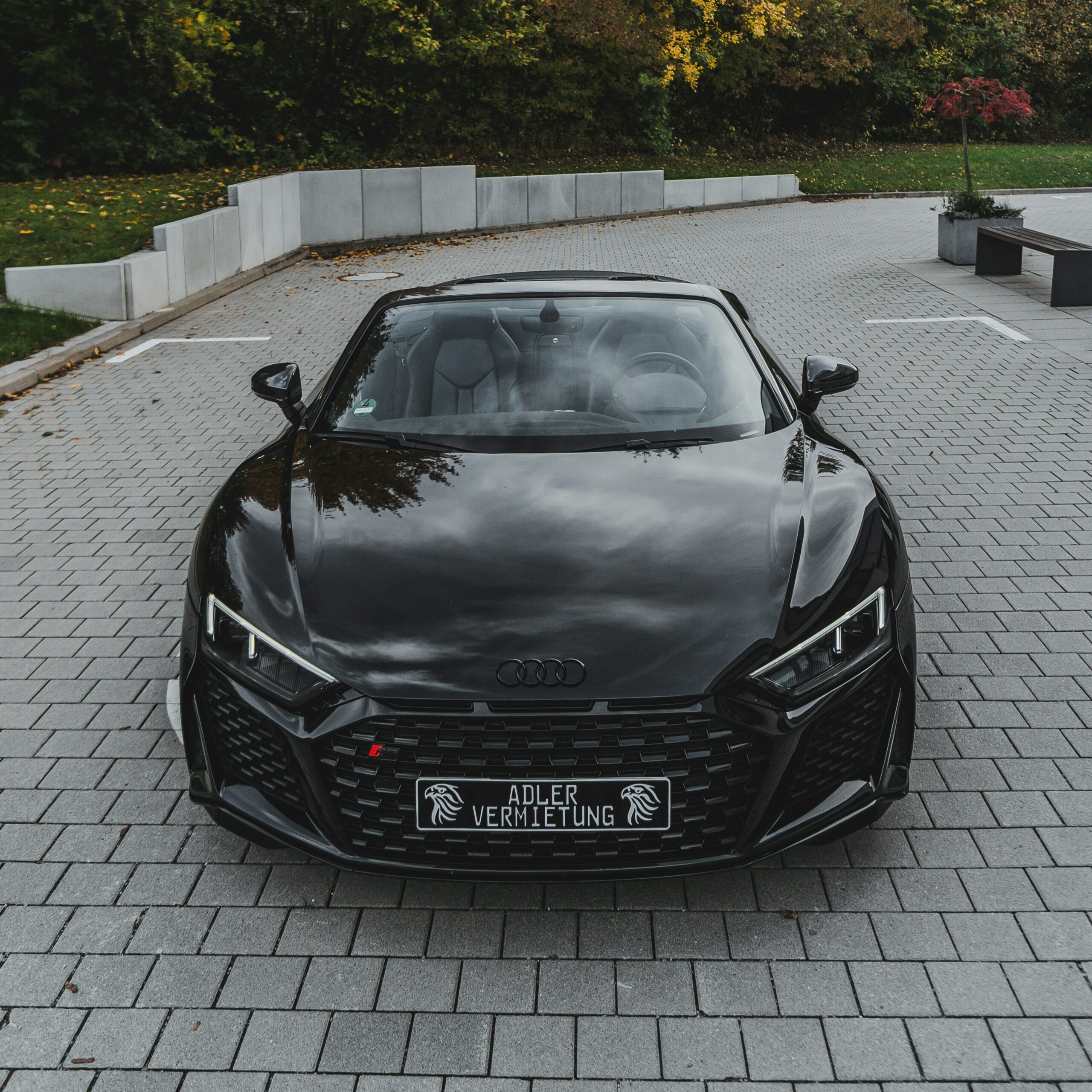 luis-media-v90zcAhvpek-unsplash (1)